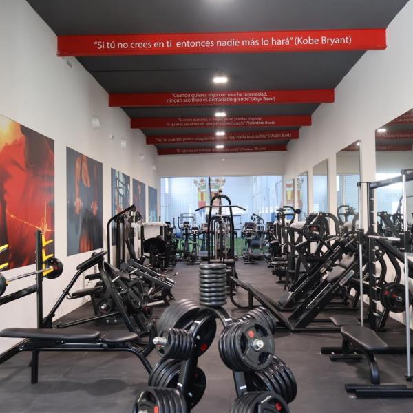 Matrícula gratuita en el gimnasio del Centro Deportivo UDACF