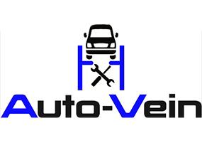 AUTO VEIN