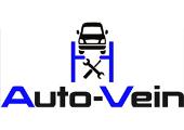 AUTO VEIN