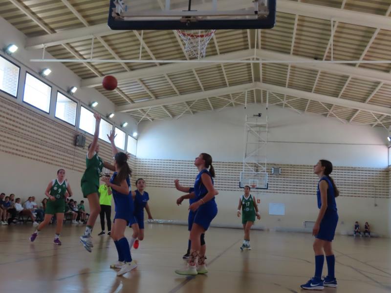 AMISTOSO DEL INFANTIL FEMENINO ANTE RINCÓN DE SOTO