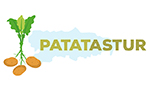 PATATASTUR