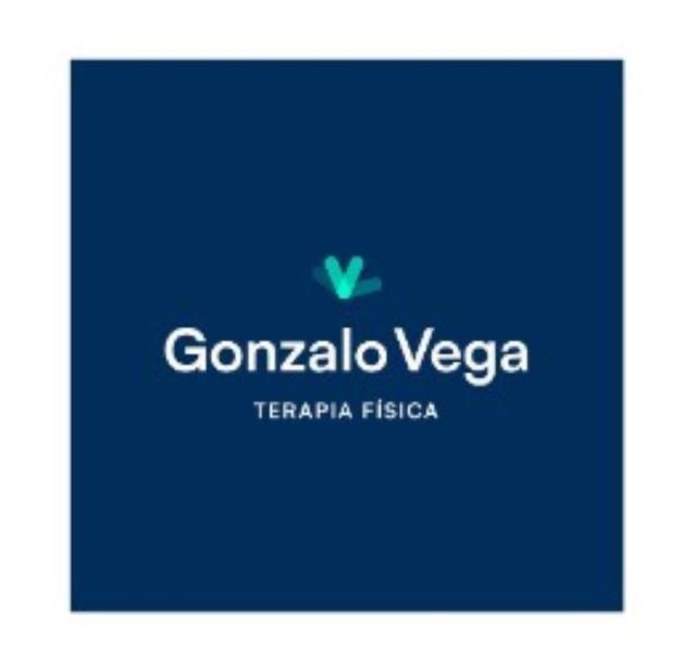 GONZALO VEGA, TERAPIA FÍSICA