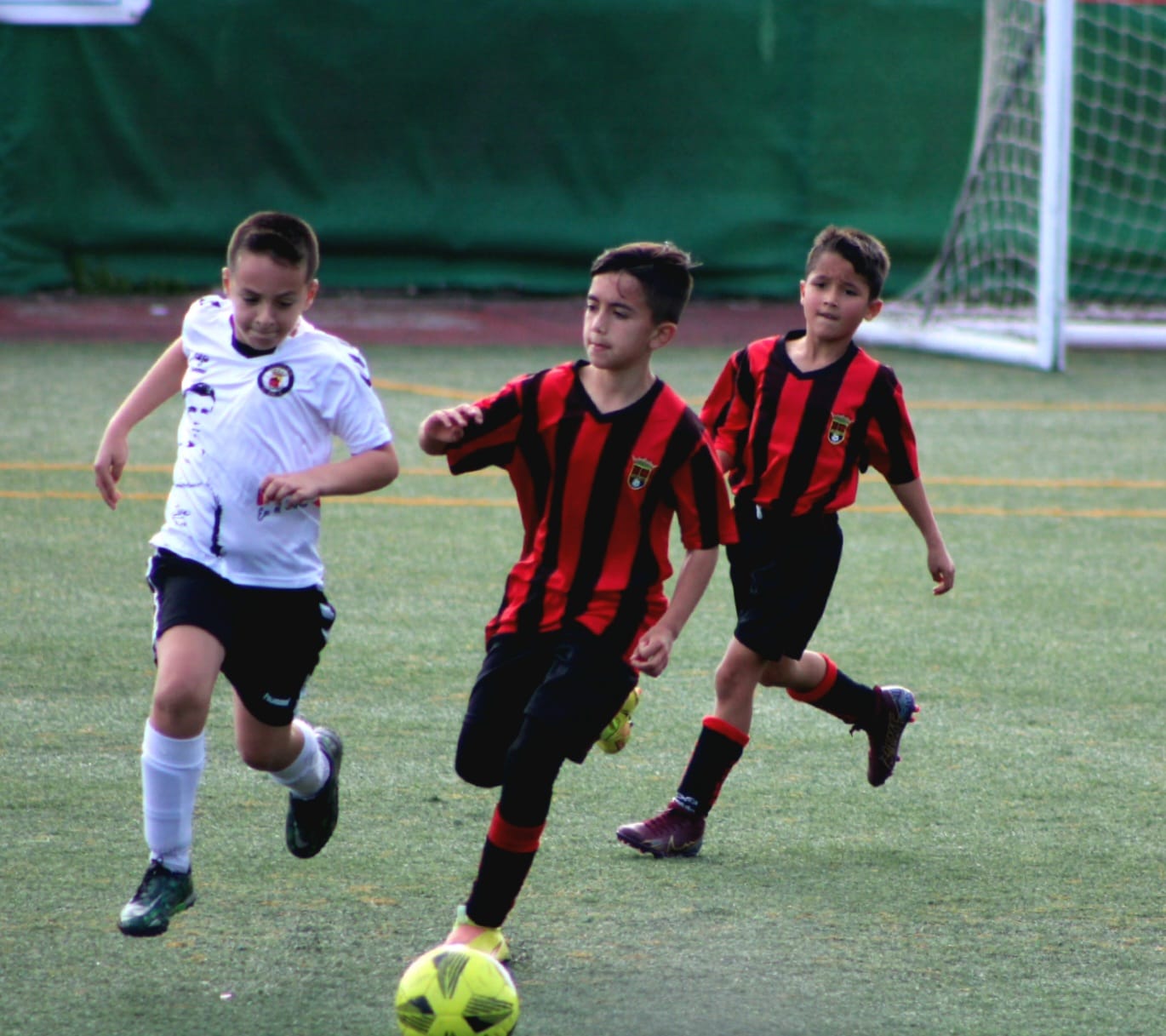 BENJAMÍN | U. VIERA B 0 - ARUCAS C 4 | SIN SUERTE EN LA LUCHA POR EL 2º PUESTO